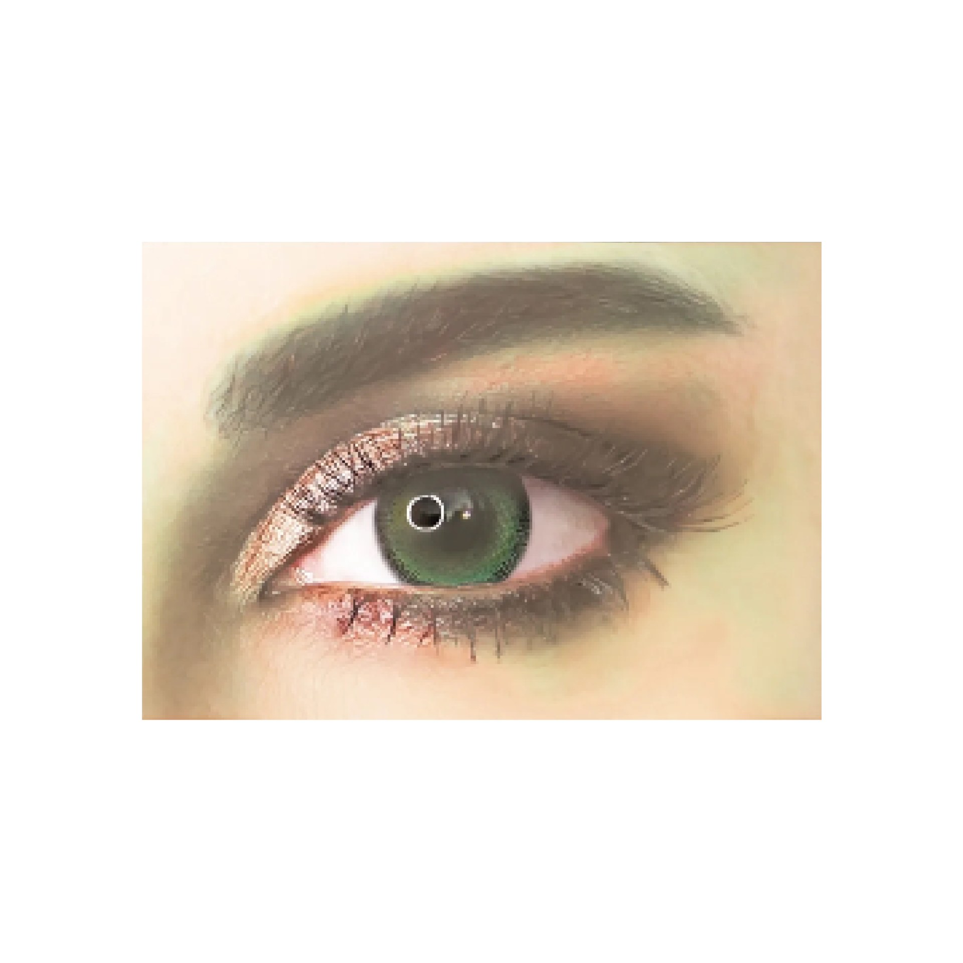 Adore Giorno Daily Color Lenses '10' - Grey